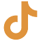 TikTok icon