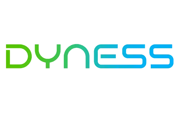 dyness